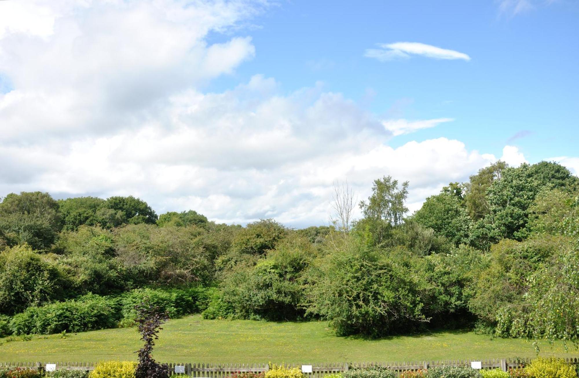 Balmer Lawn Brockenhurst Exterior foto